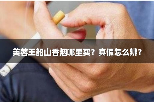 芙蓉王韶山香烟哪里买？真假怎么辨？